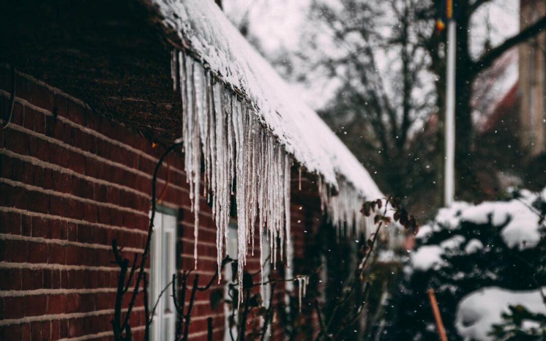 Ice Dams: The Mould Creator