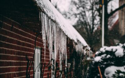 Ice Dams: The Mould Creator